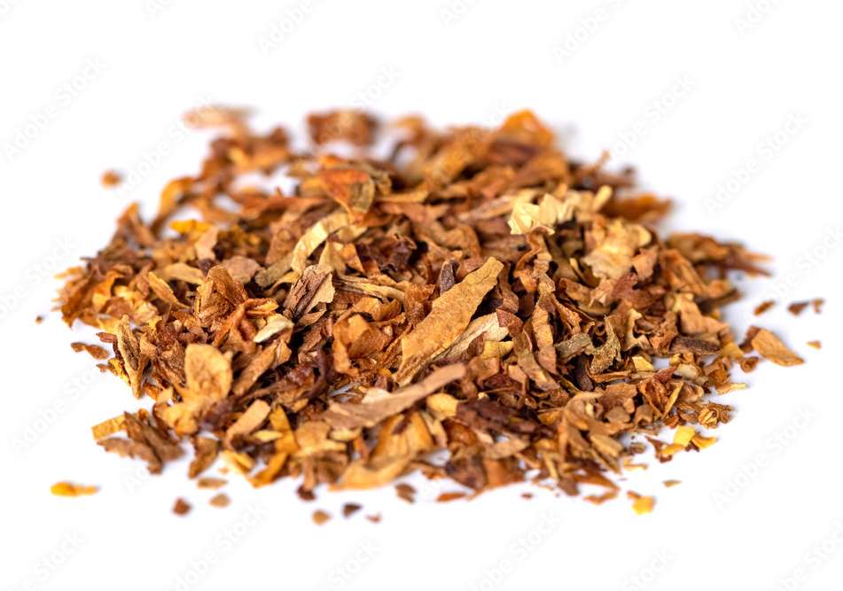 Burley Tobacco Hanging